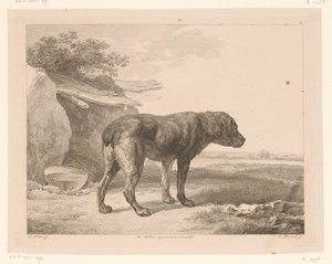 Cão de pé em uma paisagem Animais após pinturas de mestres holandeses (título da série) Différens animaux graves d