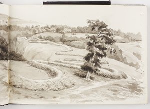 Caderno de Desenhos de Tinta e Grafite e Aquarela de Adela Breton