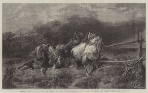 Cavalos escapando de um fogo