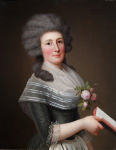 Retrato de Madame Wittfooth, nee Noer, 1789 de Adolf Ulrich Wertmuller