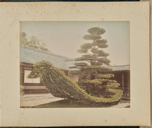 Pinheiro, Kinkakuji de Adolfo Farsari