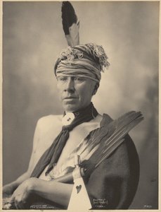 Mosteose (Coelho Santo), Iowa de Adolph F. Muhr