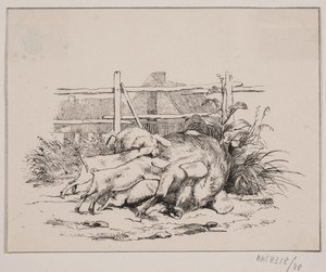 Os porcos de Johan Adolph Kittendorff