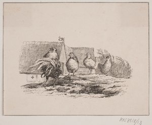 O Galo de Johan Adolph Kittendorff