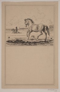 O cavalo na água. Não. 22 em Cr. Winther e M. Rørbye, "25 fotos para crianças pequenas" de Johan Adolph Kittendorff