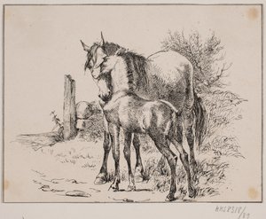 O cavalo e o potro de Johan Adolph Kittendorff