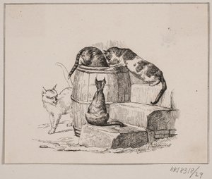 Os gatos de Johan Adolph Kittendorff