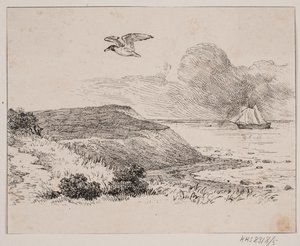A gaivota de Johan Adolph Kittendorff