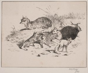 A Raposa de Johan Adolph Kittendorff