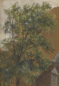Vista da janela do pátio de seu estúdio na Marienstrasse 22 de Adolph Menzel