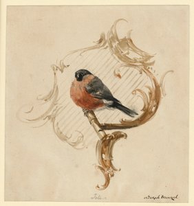 Um dom-fafe num poleiro diante de uma rocaille de Adolph Menzel