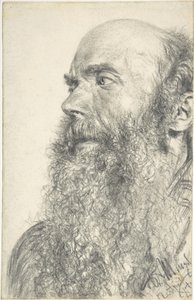 Cabeça de um homem barbudo de Adolph Menzel