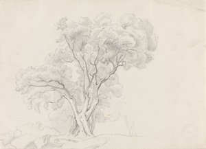 Árvores de folha caduca de Adolph Tidemand