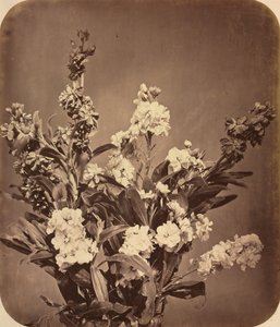 Bouquet, c. 1855