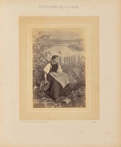 Cantão de Schaffhausen de Adolphe Braun