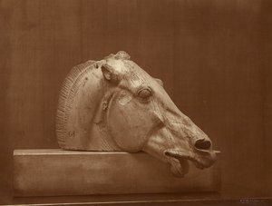 [Cabeça de cavalo do frontão do Partenon, Museu Britânico] de Adolphe Braun