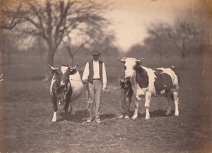 Paisagem de Adolphe Braun