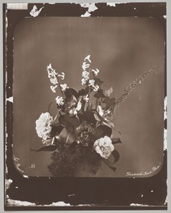 Sem título (arranjo de flores) de Adolphe Braun