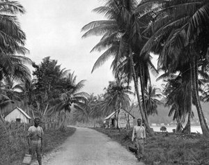 Coqueiral, Port Antonio, Jamaica, c1905. de Adolphe Duperly and Son