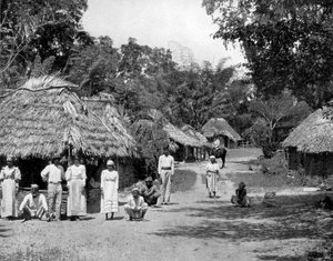 Cabanas nativas, Jamaica, c1905.