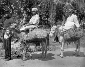 Fora para a prisão, Jamaica, c1905.