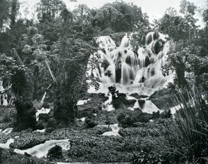 Roaring River Falls, Jamaica, c1905. de Adolphe Duperly and Son
