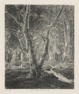 Bosques de Pierrefonds