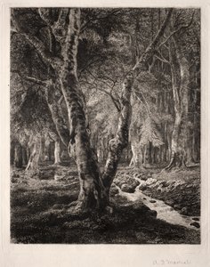 Floresta de Pierrefonds