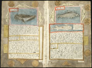 Visboeck de Adriaen Coenen - KB 78 E 54 - folios 210v (esquerda) e 211r (direita)