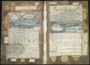 Visboeck de Adriaen Coenen - KB 78 E 54 - fólios 339v (esquerda) e 340r (direita)