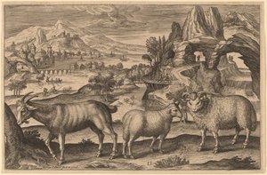 Uma cabra, uma ovelha e um carneiro de Adriaen Collaert