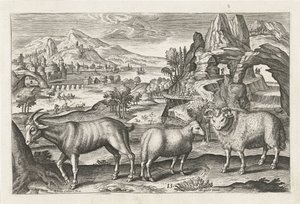 cabra e ovelha Animais de quatro patas (título da série) Animalivm Qvaddrvpedvm (título da série) de Adriaen Collaert