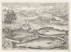 Três peixes na praia
Peixe (título da série)
Piscivm vivae icones (título da série) de Adriaen Collaert