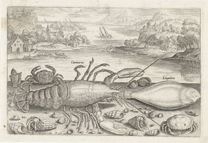 Um peixe e alguns crustáceos na praia Pesca (título da série) Piscivm vivae icons (título da série) de Adriaen Collaert