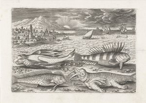 Alguns peixes e uma morsa na praia
Peixe (título da série)
Piscivm vivae icones (título da série) de Adriaen Collaert