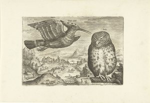 Algumas aves numa paisagem
Pássaros (título da série)
Avivm vivae (título da série) de Adriaen Collaert