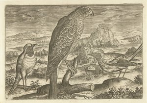 Alguns pássaros em uma paisagem Aves (título da série) Avivm vivae (título da série) de Adriaen Collaert