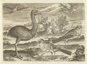 Algumas aves numa paisagem
Pássaros (título da série)
Avivm vivae (título da série) de Adriaen Collaert