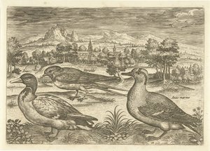 Algumas aves numa paisagem
Pássaros (título da série)
Avivm vivae (título da série) de Adriaen Collaert