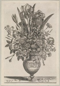 Peça de flor com íris de Adriaen Collaert