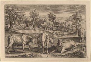 Quatro touros de Adriaen Collaert