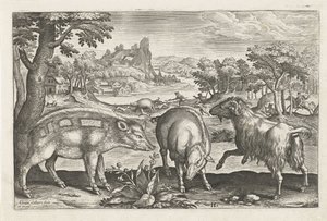 Caprinos e suínos
Animais de quatro patas (título da série)
Animalivm Qvaddrvpedvm (título da série) de Adriaen Collaert