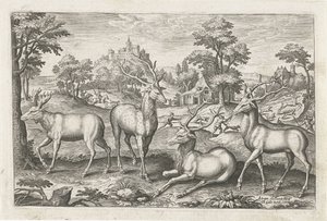 cervo Animais de quatro patas (título da série) Animalivm Qvaddrvpedvm (título da série) de Adriaen Collaert