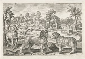 cães Animais de quatro patas (título da série) Animalivm Qvaddrvpedvm (título da série) de Adriaen Collaert