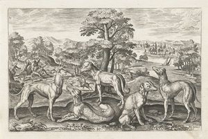 Cães de caça
Animais de quatro patas (título da série)
Animalivm Qvaddrvpedvm (título da série) de Adriaen Collaert