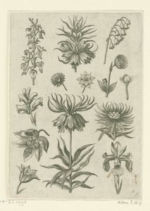 Johann Nepomuk Cavaleiro Imperial de Humbourg de Adriaen Collaert