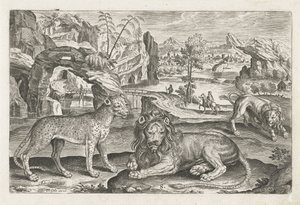 Leões e Leopardo Animais de quatro patas (título da série) Animalivm Qvaddrvpedvm (título da série) de Adriaen Collaert