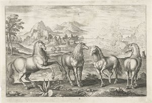 Cavalos Animais de quatro patas (título da série) Animalivm Qvaddrvpedvm (título da série) de Adriaen Collaert