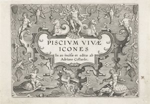 Estampa de título com criaturas do mar como ornamentos
Peixe (título da série)
Piscivm vivae icones (título da série) de Adriaen Collaert