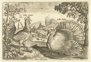 Duas galinhas numa paisagem
Avivm Vivae (título da série)
Pássaros (título da série) de Adriaen Collaert